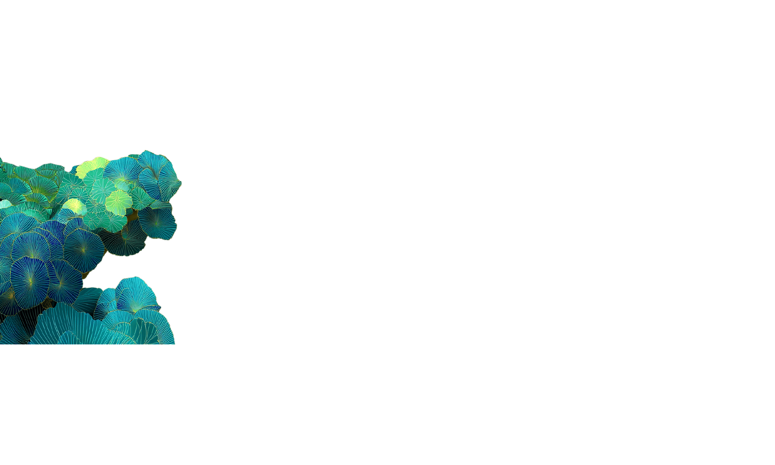 l3